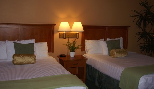 Standard Room, 1 King Bed (Standard King Room)