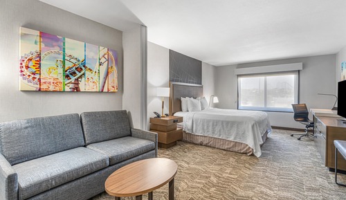 Suite, 1 King Bed, Non Smoking, Refrigerator & Microwave (with Sofabed)